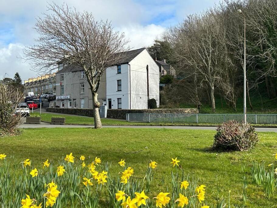 Caernarfon Modern Townhouse Snowdonia Exterior foto
